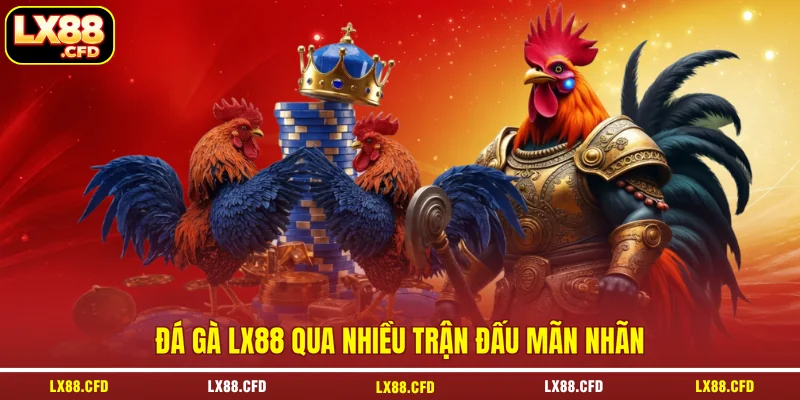 Đá gà LX88 qua nhiều trận đấu mãn nhãn