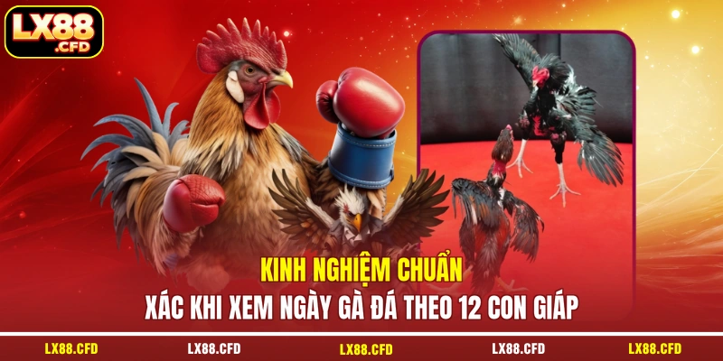 Kinh nghiệm chuẩn xác khi xem ngày gà đá theo 12 con giáp