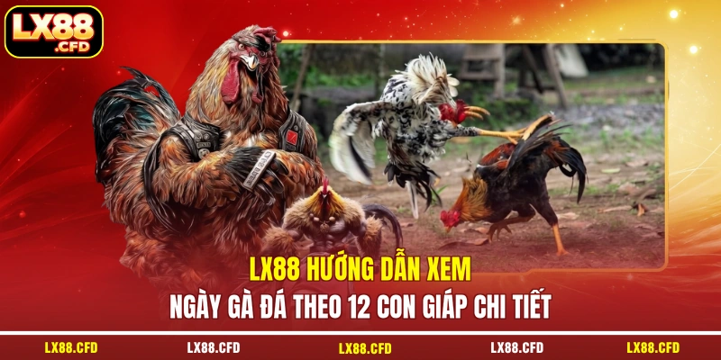 LX88 hướng dẫn xem ngày gà đá theo 12 con giáp chi tiết