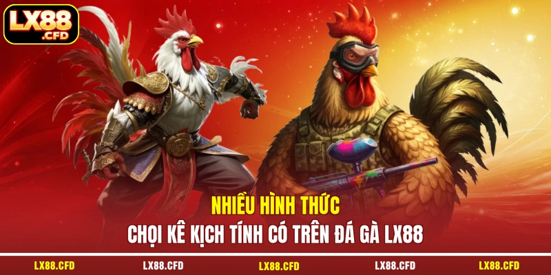 Nhiều hình thức chọi kê kịch tính có trên đá gà LX88