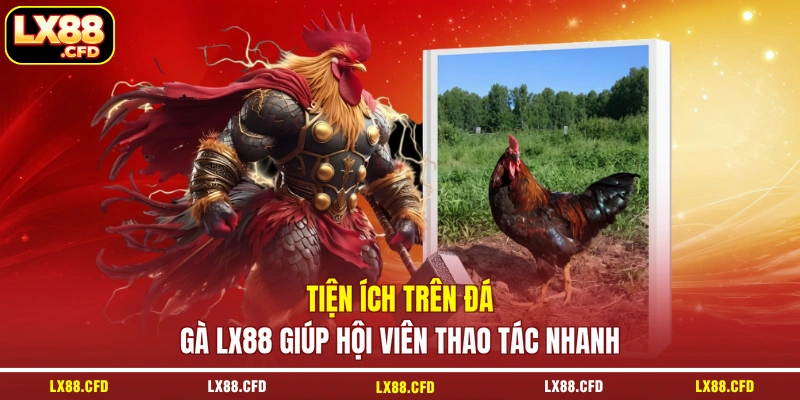 Tiện ích trên đá gà LX88 giúp hội viên thao tác nhanh